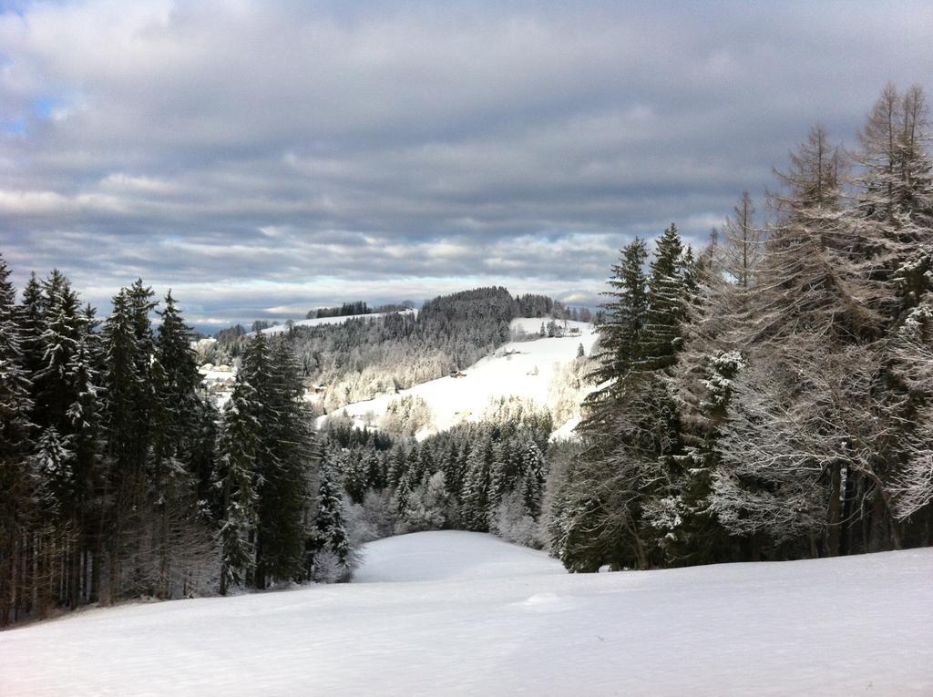 Hirschen Wald - Gasthaus & Baeckerei Eksteriør billede